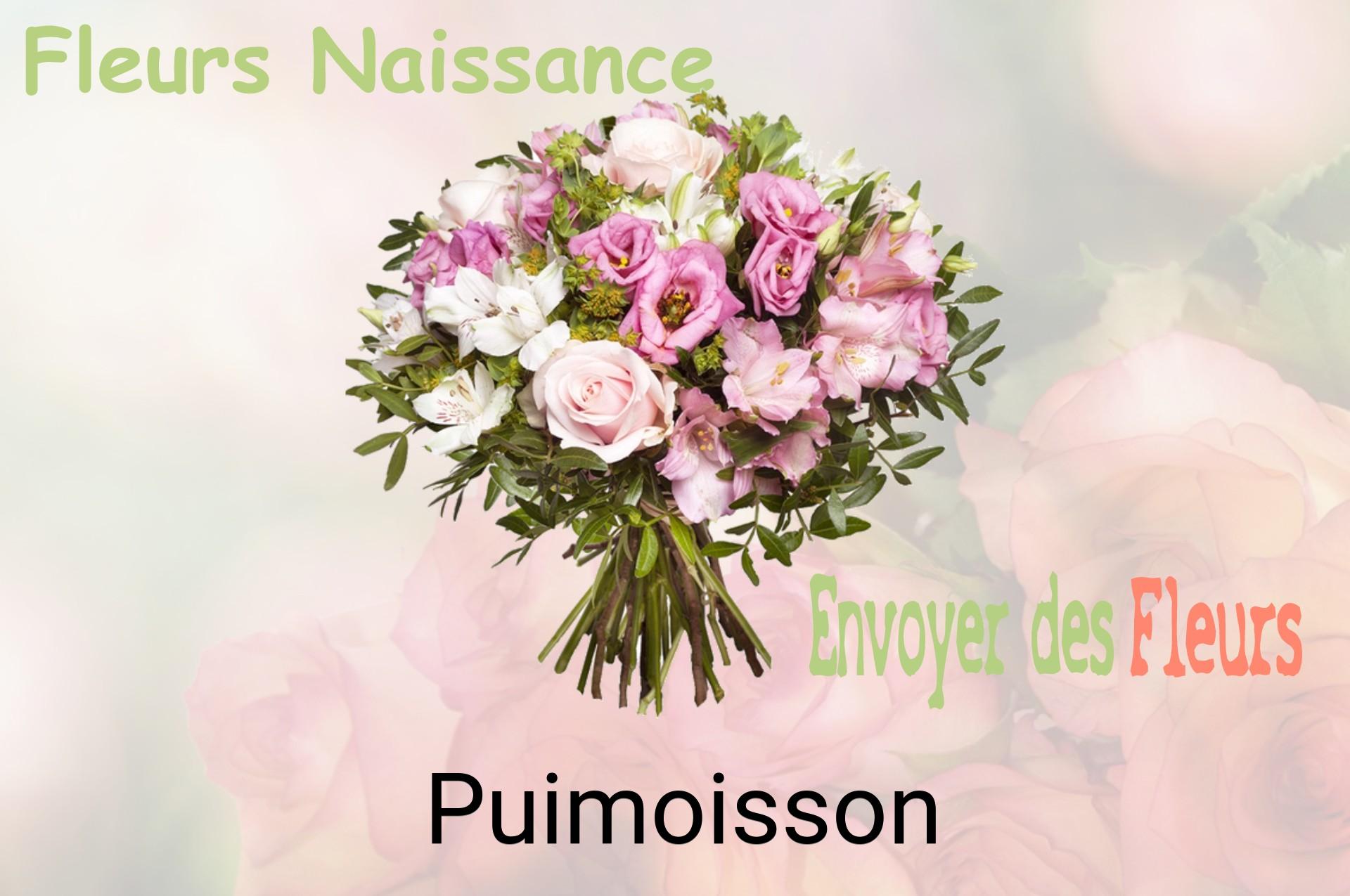 Bouquet de fleurs de naissance livré à Puimoisson